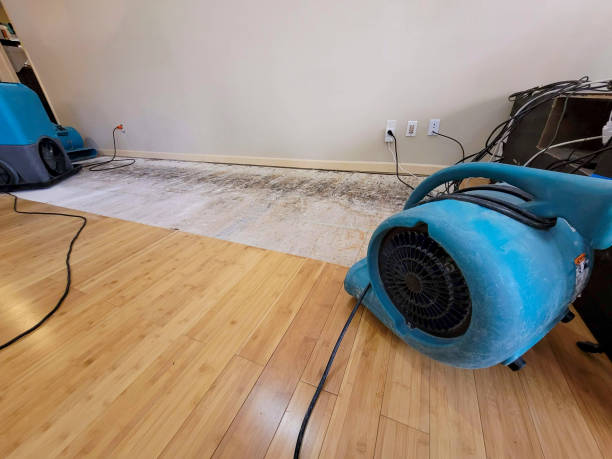 Professional Water Removal technician working in Pedro, OH